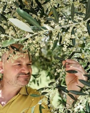 Luigi Tega – Natives Olivenöl extra mit Knoblauchgeschmack 250ml